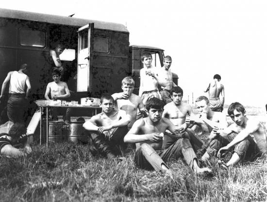 обед во время сенокоса)